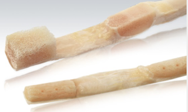 Evidence for Allograft use in ACL reconstruction